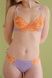 Набір із 3 бікіні Macaroon nabir-iz-3-bikini-macaroon фото 2